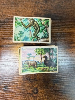 Lotto figurine Conosciamo il Mondo