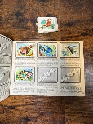 Album Conosciamo Gli Animali 1983