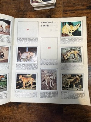 Album Zoo Parade Panini incompleto