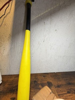 Mazza e guantone da baseball