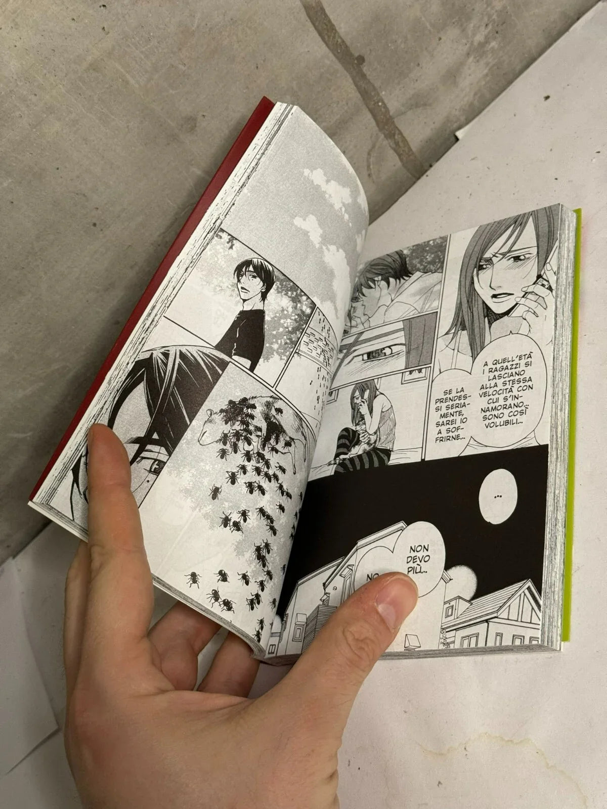 Black Rose Alice n° 01 di Setona Mizushiro - Sconto 40% - Ed. Flashbook