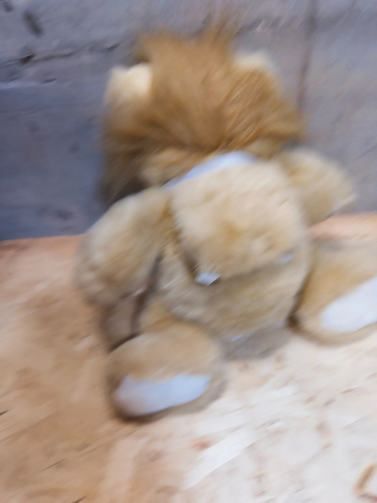 ORSO CIRO PARLANTE Giochi Preziosi Non Funzionante Orsacchiotto Peluche