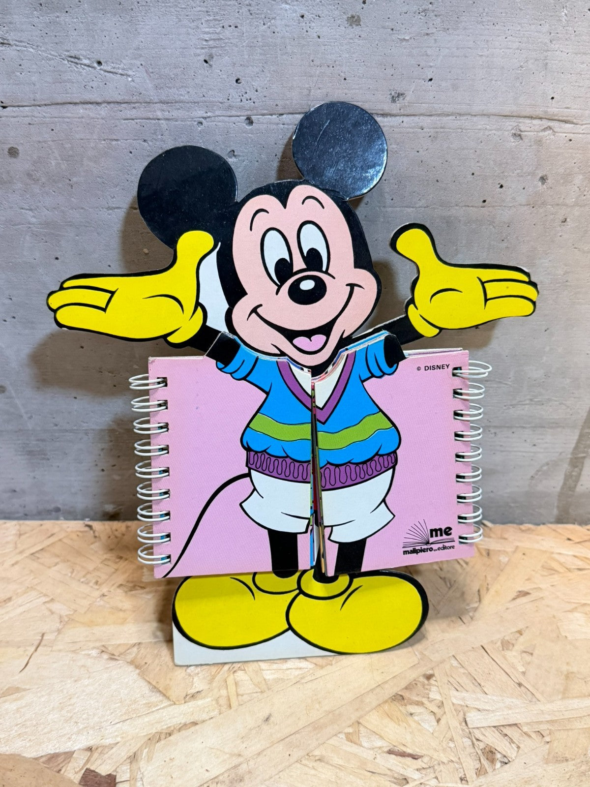 Libro topolino stranilibri Paola Sivieri