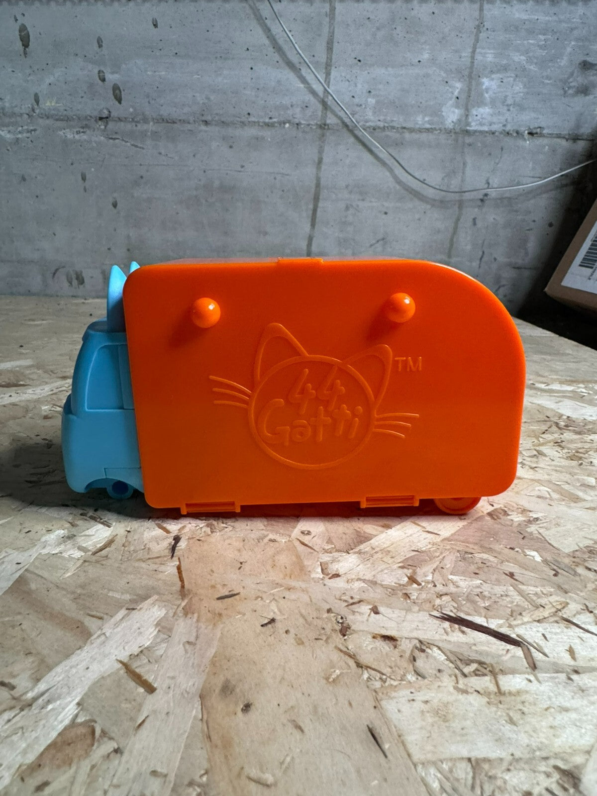 camper 44 gatti amici canterini