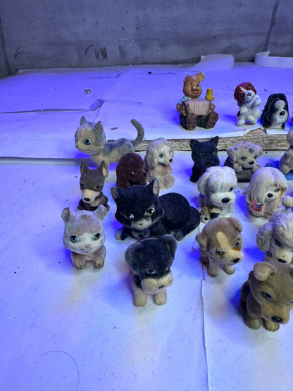 Cuccioli cerca amici gatti e cani
