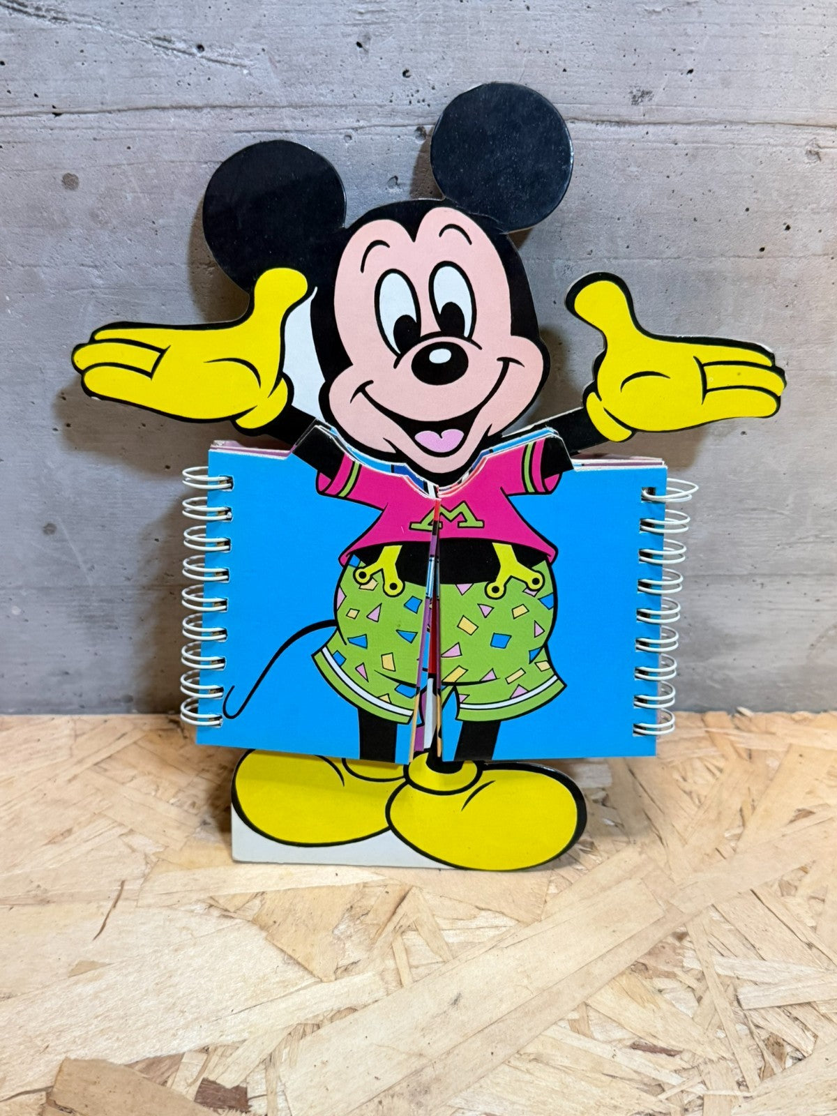Libro topolino stranilibri Paola Sivieri