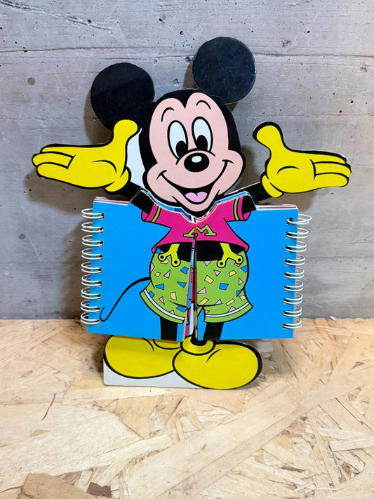 Libro topolino stranilibri Paola Sivieri
