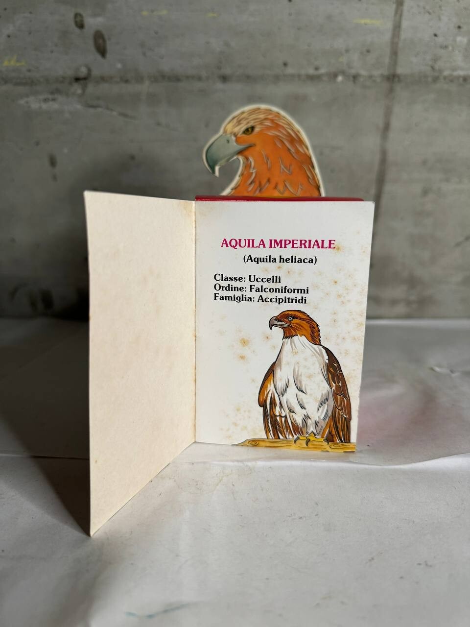 MATTEL UOVO DELLE MERAVIGLIE AQUILA '80 NEW IN BOX WWF animali giocattolo