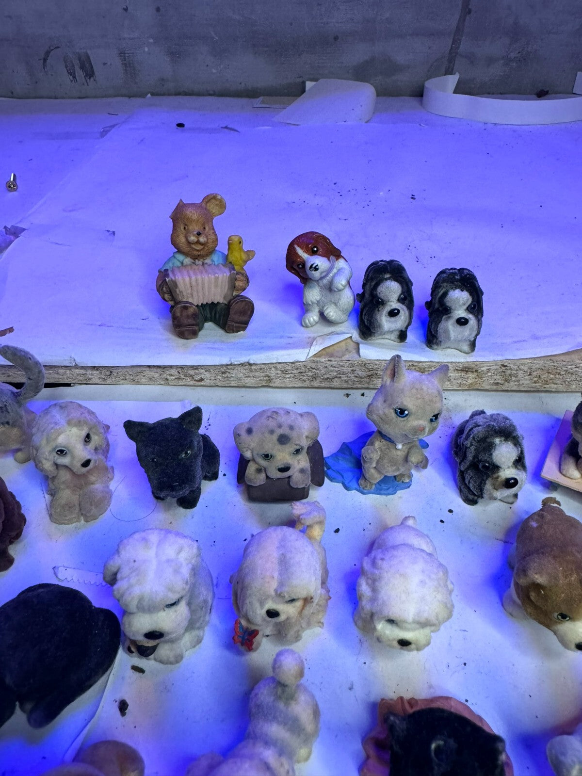 Cuccioli cerca amici gatti e cani