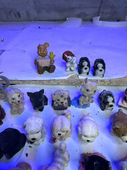 Cuccioli cerca amici gatti e cani