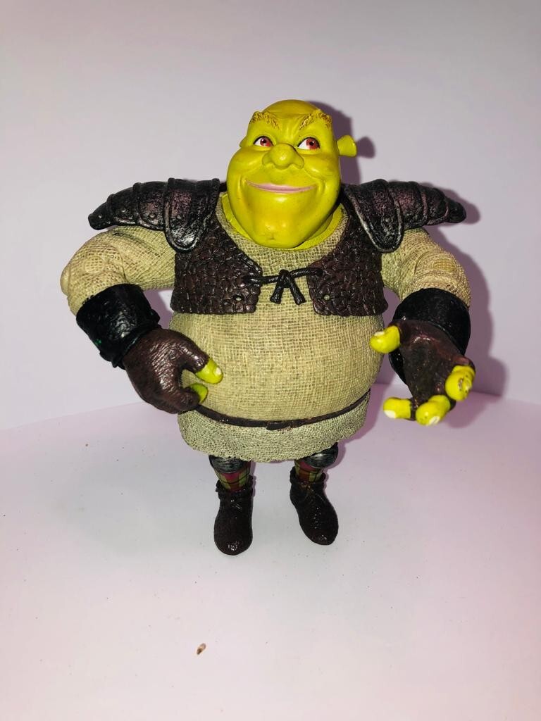 DREAMWORKS 2006 Shrek Film Serie 1 5" ORCO SHREK il coraggioso Action Figure