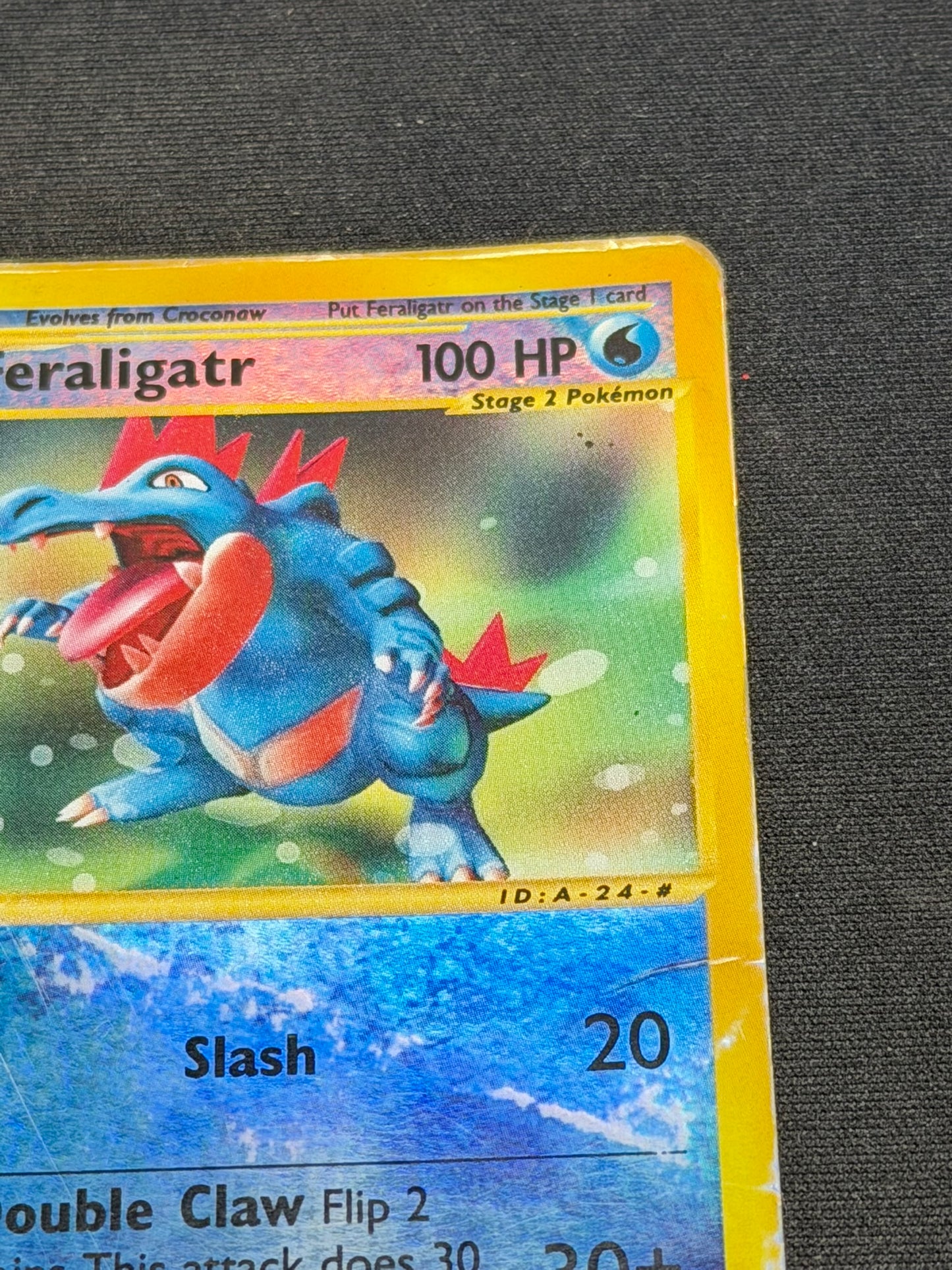 Feraligatr Expedition eng poor 46/165