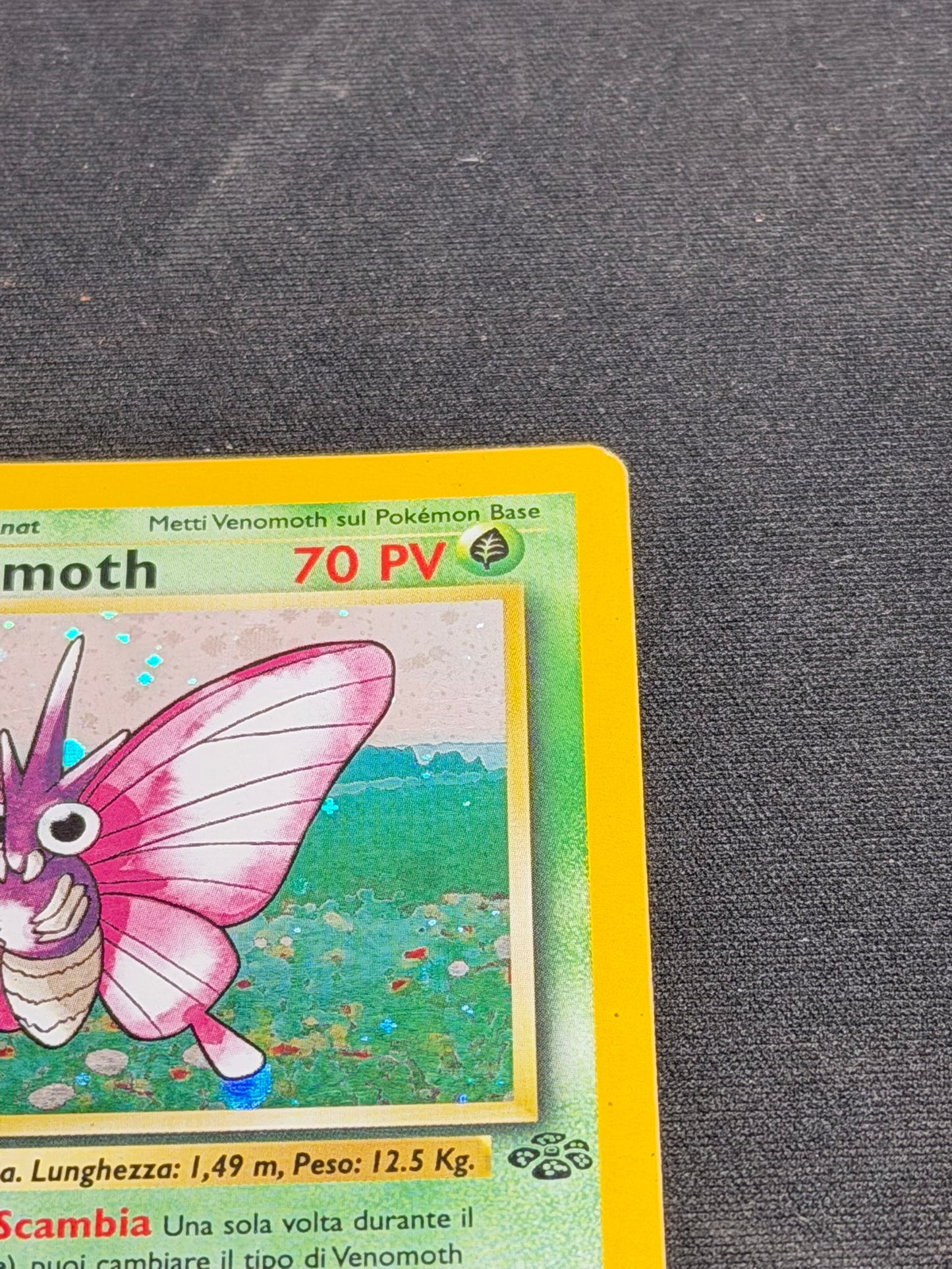 Venomoth jungle Good ita 13/64