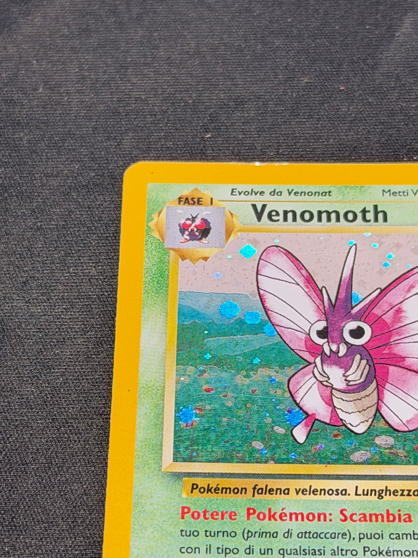 Venomoth jungle Good ita 13/64