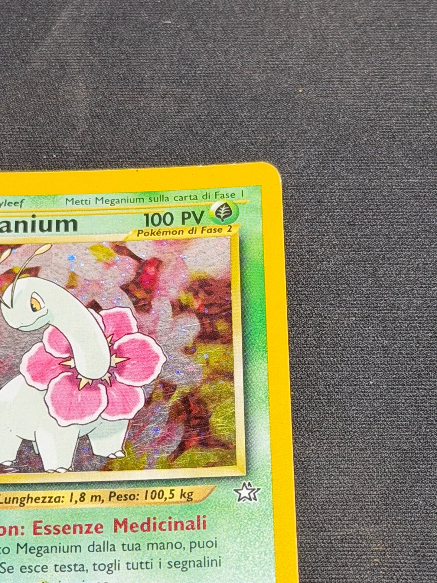 Meganium neo genisis ita 10/111 LP